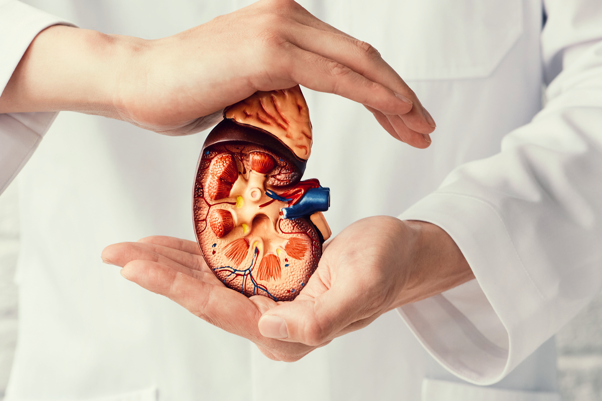 Medisera världsnjurdagen