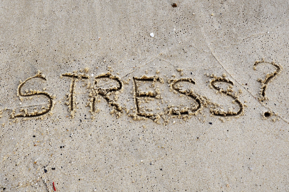 Kortisol stress och hälsa