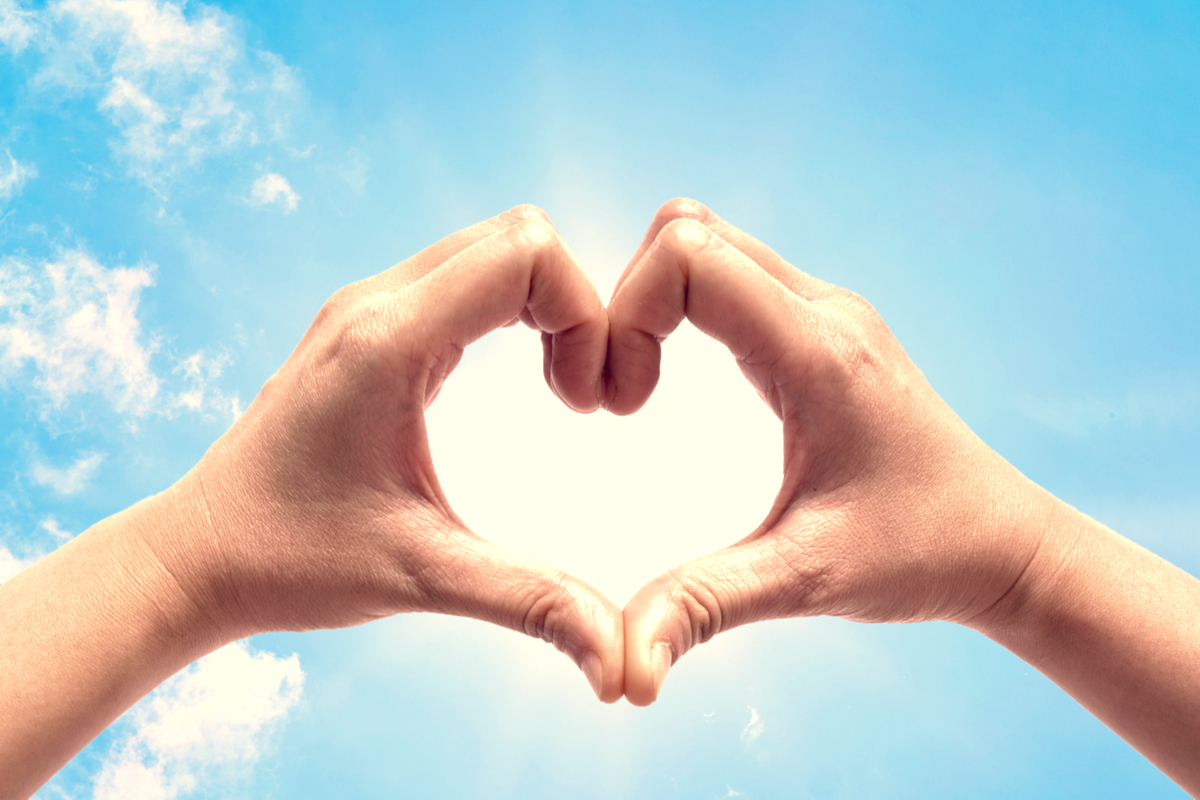 Fettets påverkan på hjärta och kärl