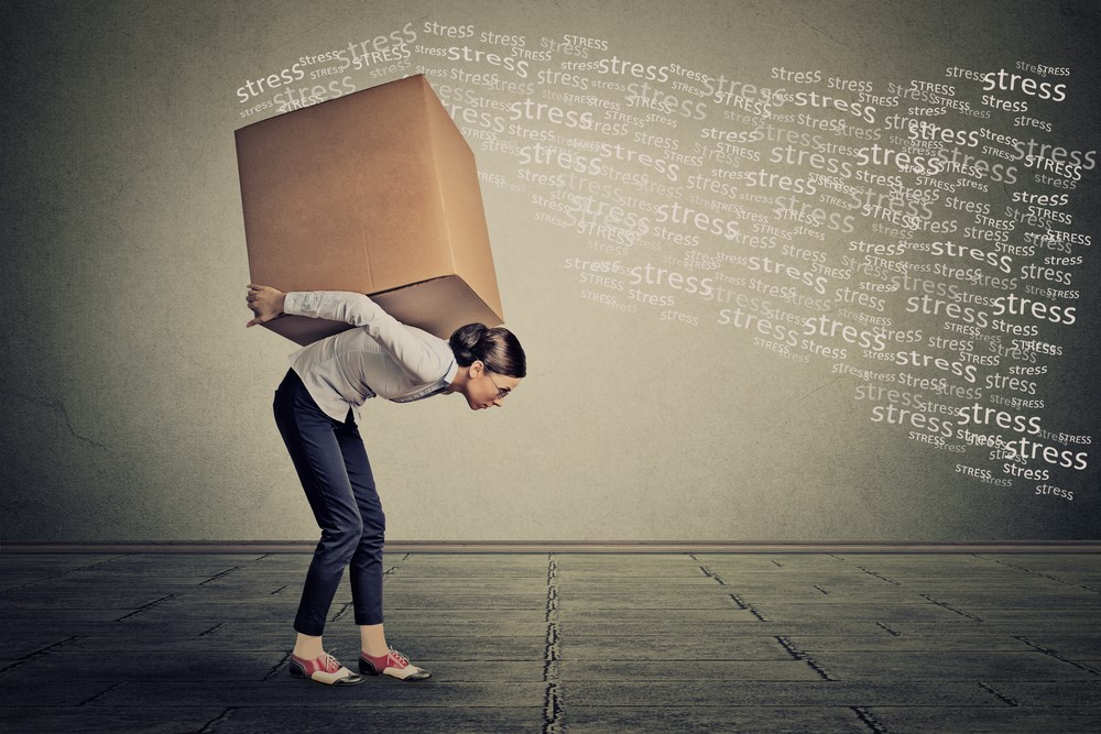Stress, kortisol och blodprov