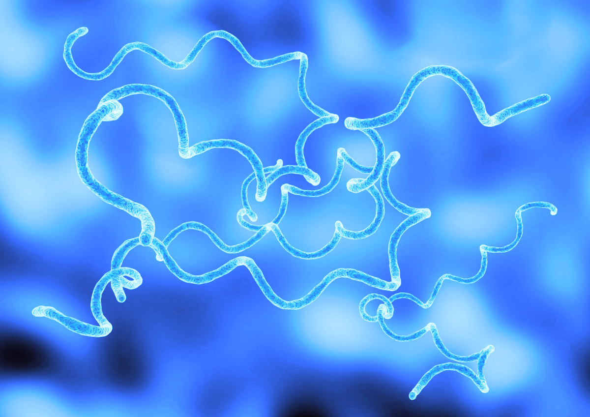 testa borrelia via blodprov